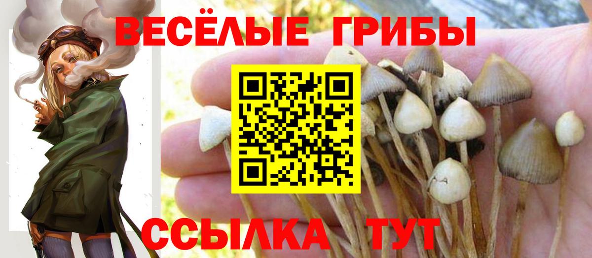 Галлюциногенные грибы прущие грибы Большой Камень